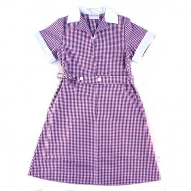 Red/White Gingham Dress