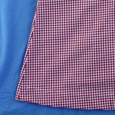 Red/White Gingham Dress