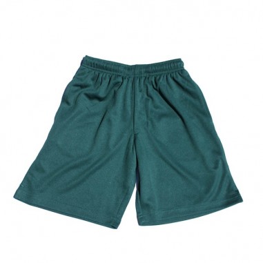 Green Airmesh PE Shorts