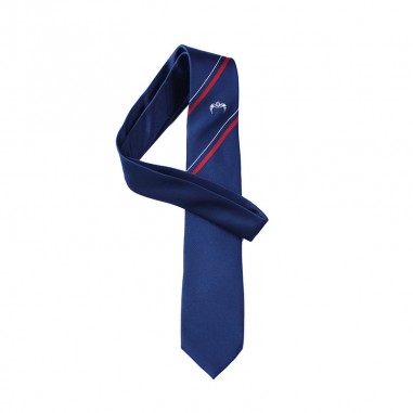 CGHS Angel Tie(CGHS Y12)