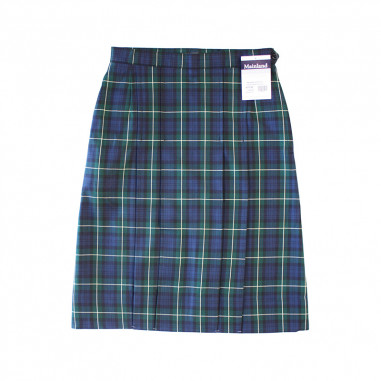 Heaton Winter Skirt