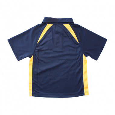 St Joseph's Hasting PE Polo