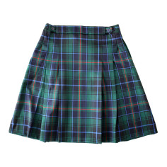 Geraldine/Roxburgh High Winter Skirt 2