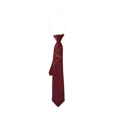 St Marks Tie