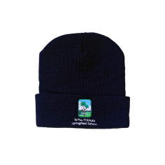 Springfield Beanie 2