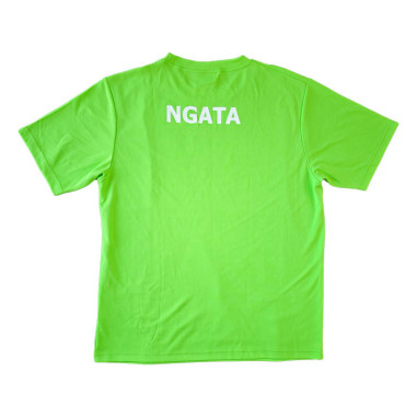 Cashmere High House Tee