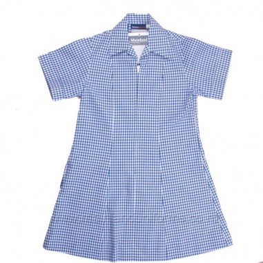 Blue/White Gingham Dress