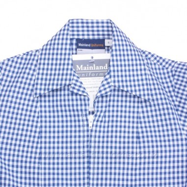 Blue/White Gingham Dress