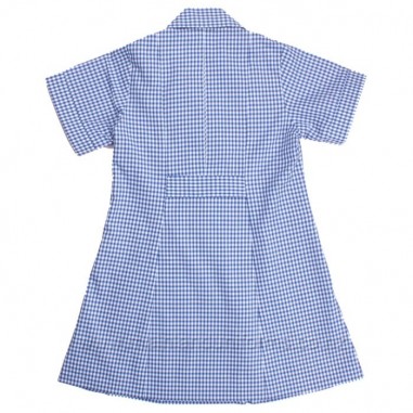 Blue/White Gingham Dress