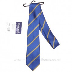 St Joseph's Papanui Tie 2